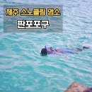 판포바람 | 제주 스노클링 성지 판포포구 솔직 방문 후기