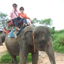 파타야B 이미지