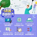 튼튼한태권도 이미지