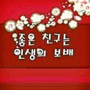 소떼들