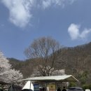 보리울