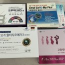 종로-종로-종로-종-205 이미지