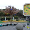 꽃그리고 네이버블로그