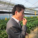 박상기농장 이미지