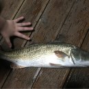 땅끝낚시터 이미지