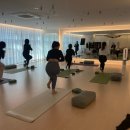 다움요가 | 해운대요가 스트레치유&amp;요가다움필라테스 해운대점 인양요가 수강 후기