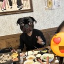 [영도맛집] 돈하리 영도본점 다녀옴 4mm 꽃삼겹이랑 대게 같이 먹어본 후기 (주차O)
