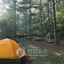 별따기캠핑장 이미지