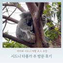 (주)프리것버드 | 시드니 타롱가주 동물원 후기_입장권 할인 기념품 물개쇼 버드쇼 페리 타기