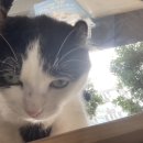 동심동물병원 이미지