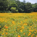 병방산군립공원 이미지