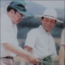 선산농협미곡처리장 네이버블로그