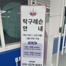 팡팡탁구