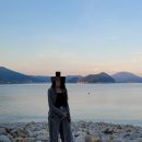 어우름펜션 | &lt;숙소후기&gt; 거제 애견동반 숙소 &#34;거제도 어우름스파애견펜션&#34; | 주변 볼거리(파란대문집, 야자수펜션 수국)