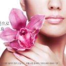 미엘스킨앤바디 이미지