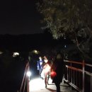 김포황토테마파크 이미지