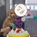 불막열삼 금곡화목점 이미지