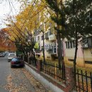 원종로9번길 이미지