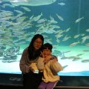 아천초등학교 이미지