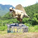 전남 보성군 가볼만한 곳 : 비봉공룡공원 (드론 영상)