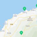 제주 월령리 선인장군락 이미지