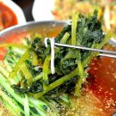 열무국수 Daum카페