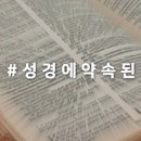 (주)재림
