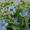 기택농장 이미지