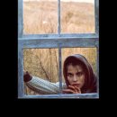 테스 (Tess) 이미지