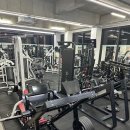 노익스짐 이미지