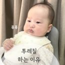 푸푸