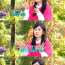 뉴힐링캠프 스타투데이