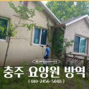 자연속으로충주지사