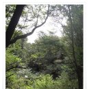 용재두꺼비 | 송천계곡 탐사일지