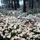 해피케어 이미지