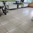 음봉초등학교 이미지