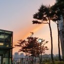 세탁소가는길 이미지