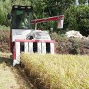 강진군농협쌀조합공동사업법인 이미지