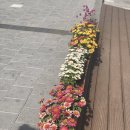 대박커피(약대점) 이미지