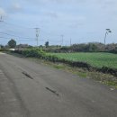 스마일앤조이 | 제주 동쪽 자쿠지 감성 펜션 추천 "스마일앤조이"