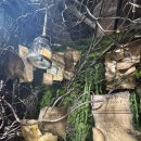 (주)스타약품 | 위키드: 포굿 팝업 다녀온 후기 (코엑스 · 현장대기로 입장 성공!)