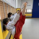 글로벌아이 태권도장 이미지