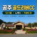 골드리버cc | 🏌️충남 공주) 골드리버CC 가족 야간라운딩 후기 / 12+1홀 야간 노캐디 후기, 가성비 노캐디 골프장