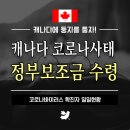 캐나다 코로나 확진자 2천명 초과ㅣ정부지원정책 및 보조금 수령하는 방법과 조건 이미지