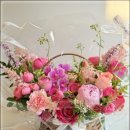 라벨라수 이미지