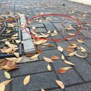 우체국옆 보도 이미지