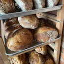 컨추리홈즈 | 청주 복대동 맛집 김관식빵집 메뉴추천 영업시간 방문자 후기 찐 리뷰