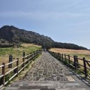 호랑86 | 제주 성산일출봉 뷰 끝판왕 카페, 호랑호랑 직접 가본 후기