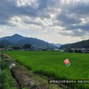 고성부동산중개사무소 이미지