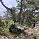 소유당한의원 이미지